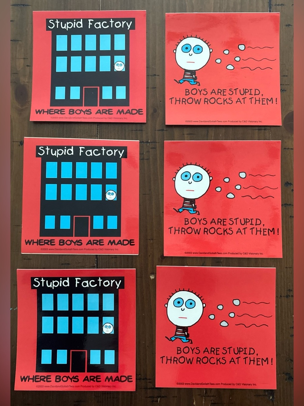 “Boys are Stupid” Decorative Stickers/Decals- (6pcs)